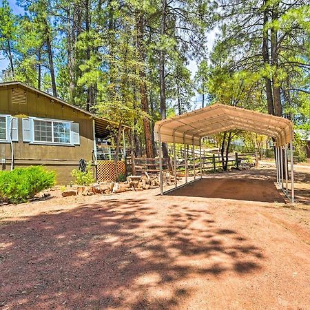 Pine Cabin In The Woods With Yard And Grill! Экстерьер фото